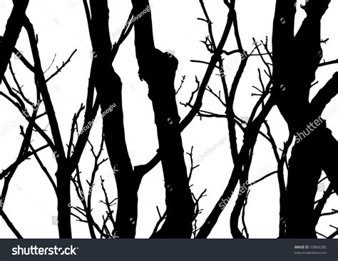 Vector Tree White Background Stock Vector 10866280 - Shutterstock