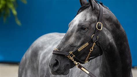 Kentucky Derby horses: Essential Quality favorite at Churchill Downs