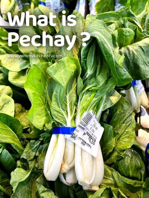 Pechay A Crisp Fibrous Filipino Vegetable Filipino ‘bok Choy