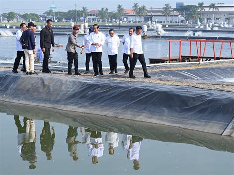 Presiden Resmikan Model Kawasan Tambak Budi Daya Ikan Nila Di Karawang