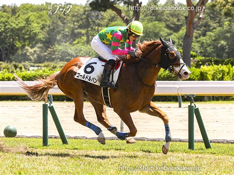 競馬ブックネットshop カラープリントアルミ枠付き2024年5月18日新潟4r 4歳以上障害未勝利ゴールドルパン