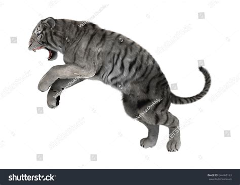 3d Rendering White Tiger Jumping Isolated Stock Illustration 646968193 ...