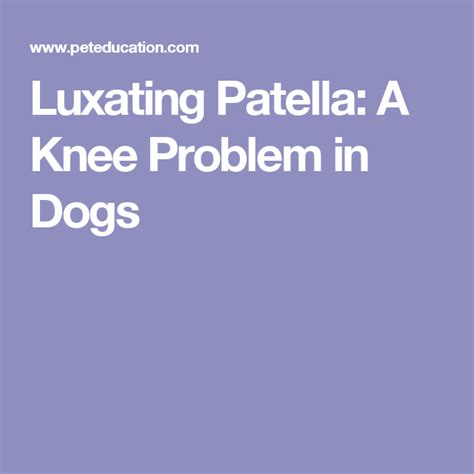 Luxating Patella A Knee Problem In Dogs Knee Problem Knee Cap Pet