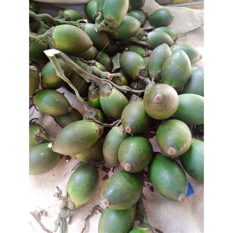 Jual Jual Buah Pinang Segar Pres 1 Kg Shopee Indonesia