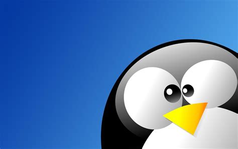 Linux Tux Wallpapers - Top Free Linux Tux Backgrounds - WallpaperAccess