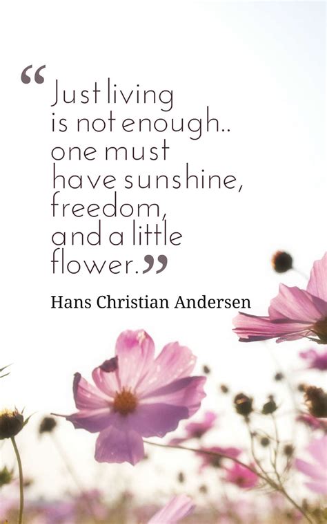 32 Inspirational Sunshine Quotes And Sayings