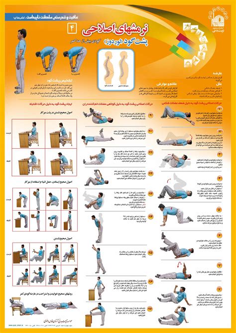 Pin by Amber Lankey on Health and Nutrition | Scoliosis exercises ...