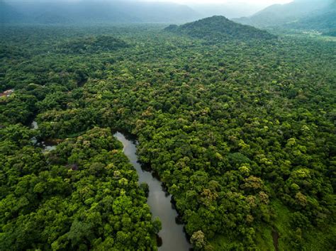 Así Es Como La Arena Del Sahara Fertiliza El Amazonas Bioguia