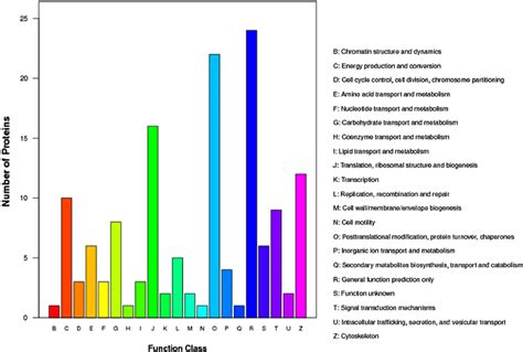 Cluster of Orthologous Groups (COG) function classification of the... | Download Scientific Diagram