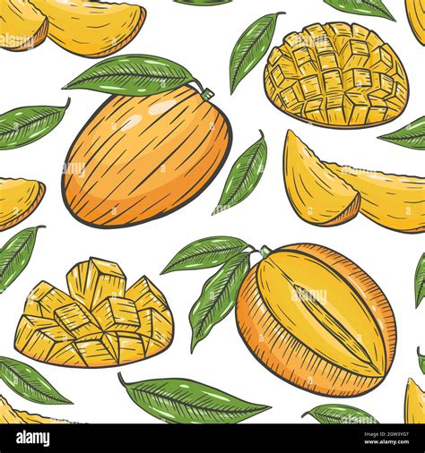 Seamless Pattern With Mango Vector Stock Vector Image Art Alamy