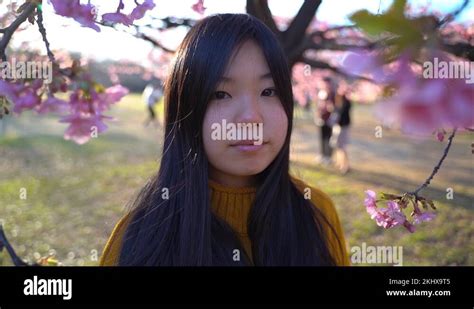 Adorable Japanese Girl Posing In Between Sakura Tree Branches With