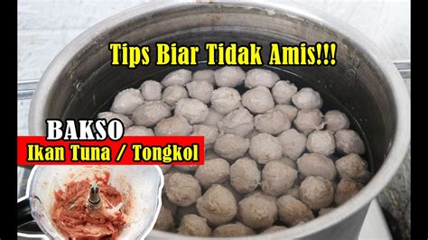 Pentol Ikan Kenyal Tidak Amis Cara Membuat Bakso Ikan Tuna Tongkol