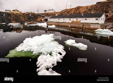 Fishing Stage And Docks In Crow Head Twillingate Newfoundland Canada