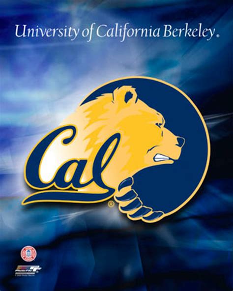 Cal Berkeley Golden Bears NCAA Logo Photo - 8" x 10" - Dragon Sports