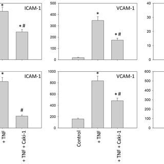 Endothelial Surface Expression Of Adhesion Receptors On HMEC 1 And