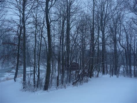 The Beauty Of A Southern Indiana Snowfall Indiana Lake Outdoor