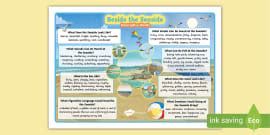 KS2 Summer Scene Descriptive Word Mat Teacher Made