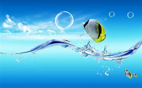 Fish out of the water Wallpaper | 1920x1200 resolution wallpaper ...