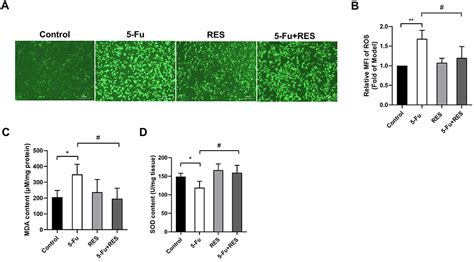 Scielo Brasil Resveratrol As A Cardioprotective Adjuvant For