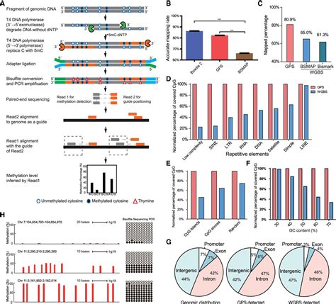 Guide Positioning Sequencing Identifies Aberrant Dna Methylation