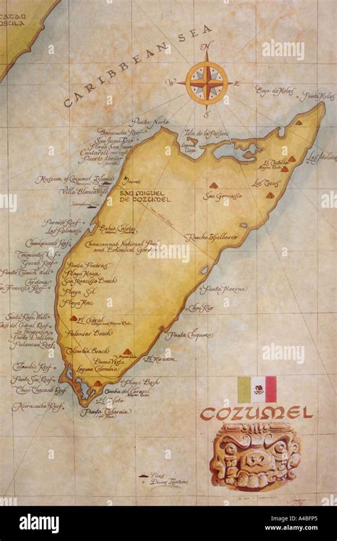 Introducir Imagen Cozumel Mexico Map Abzlocal Mx