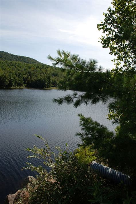 Scenic Adirondack Ponds And Wetlands Cedareden