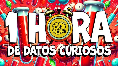 1 HORA DE DATOS CURIOSOS Y COSAS QUE NO SABÍAS Nº10 YouTube