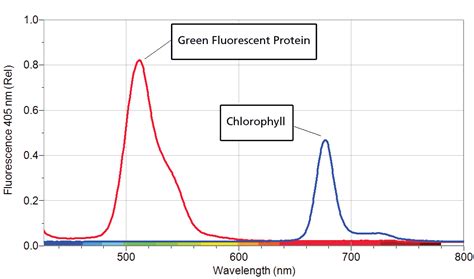 Fluorescence Spectroscopy - Pronalyse