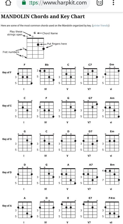 Learn How To Play A 2 Finger Mandolin A Chord Artofit