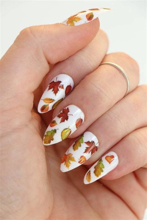 Herfst Blaadjes Nagel Decals Nagelproducten Nageldecals Nail Art