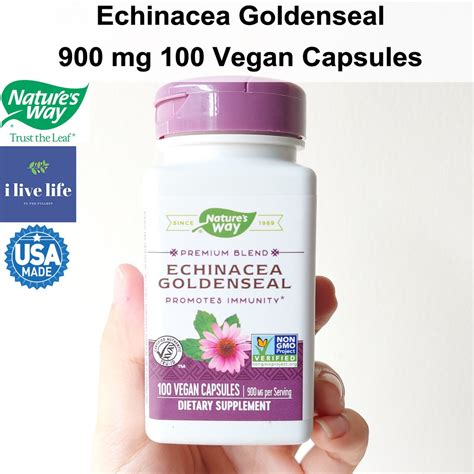 เอ็กไคนาเซีย Echinacea Goldenseal 900 Mg 100 Vegan Capsules Natures