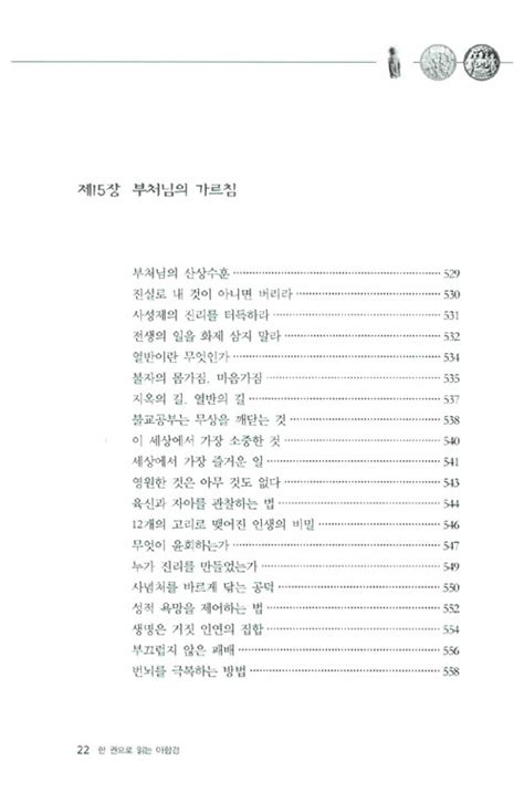 영성 몸 마음 젠더 생태 평화 Scapbook 알라딘 한 권으로 읽는 아함경 홍사성