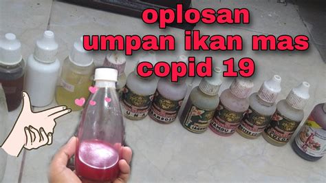 Oplosan Umpan Ikan Mas Babon Dan Ikan Rame YouTube