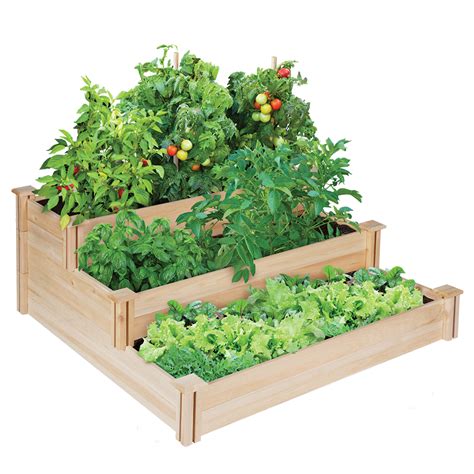 Vegetable Garden Box Kits Hawk Haven