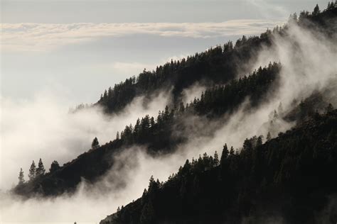 Bildet Tre Natur Skog Villmark Fjell Sn Vinter Sky Himmel