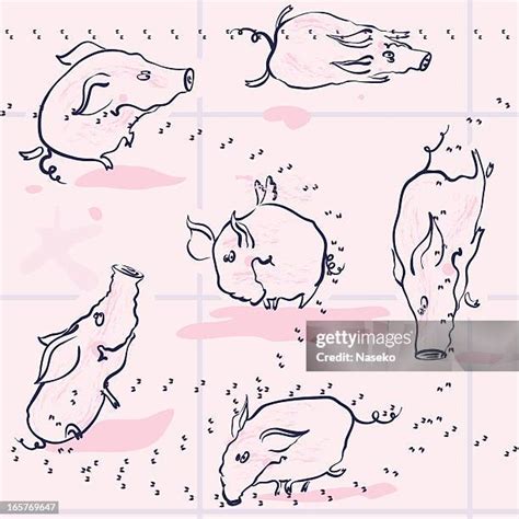 46 Pig Footprint Stock Photos High Res Pictures And Images Getty Images