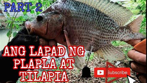 Part Sa Wakas Nakahuli Din Ng Plapla Ang Lalapad Ng Mga Tilapia