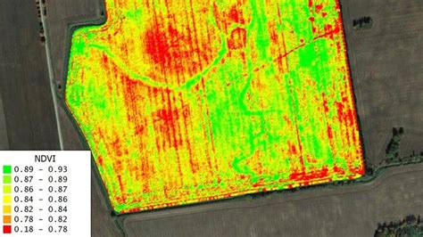 An Example Of Ndvi Map Visualization Download Scientific Diagram