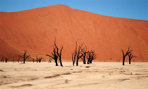 Budget Travel In Namib Naukluft National Park Budget Travel Guide