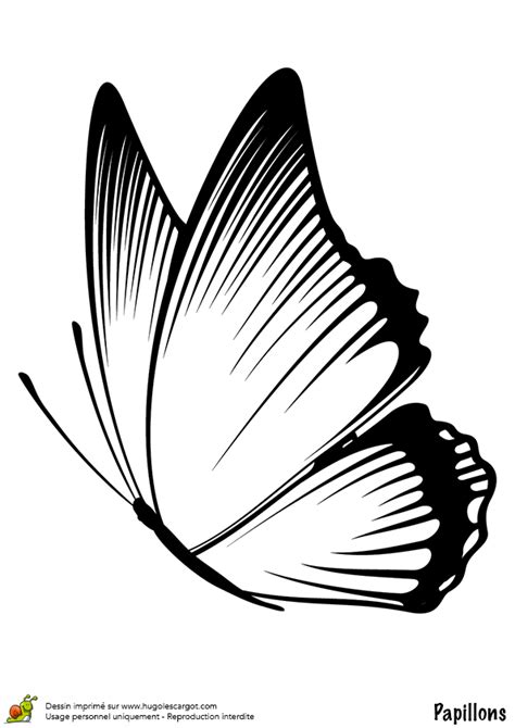 Papillon Dessin Recherche Google Butterfly Stencil Butterfly