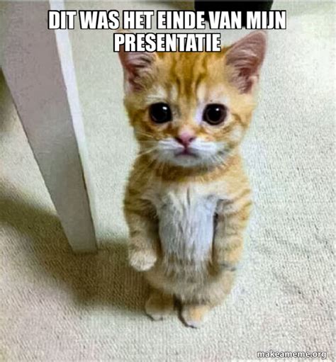 Dit Was Het Einde Van Mijn Presentatie Cute Cat Standing Meme Generator