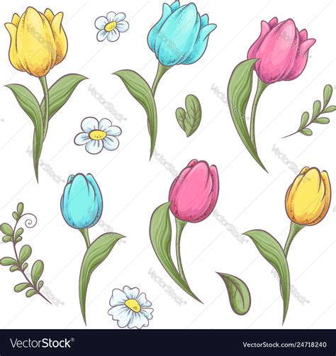 Set Flowers Tulips Hand Drawing Royalty Free Vector Image