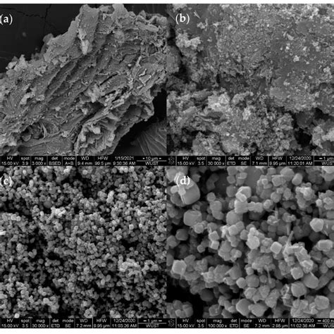 Sem Images Of Biochar And Feooh Fe O Biochar A B Biochar C D