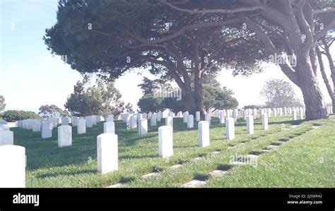 Tombstones on american military national memorial cemetery, graveyard in USA. Headstones or ...