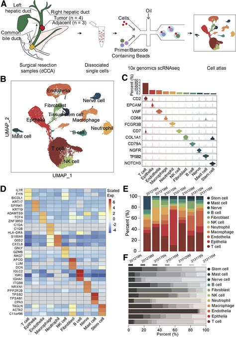 Single Cell Transcriptomic Architecture Unraveling The Complexity Of