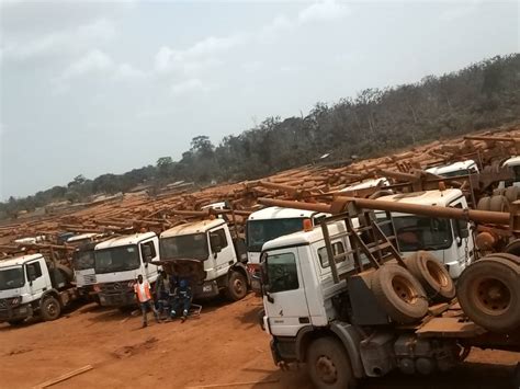 Cameroun P Nurie De Gasoil Les Industries De Bois Aux Abois Afrik Info