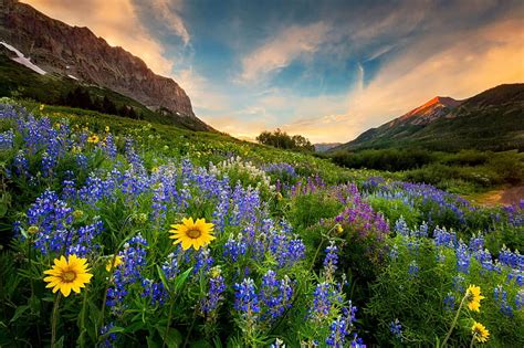 1080p Free Download Mountain Meadow In Spring Hills Pretty Lovely