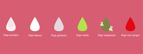 Flujo Vaginal ¿cómo Es Y Qué Dice De Mi Salud Enna Women