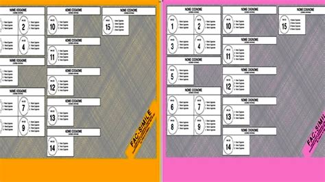 Elezioni Politiche 2022 Il Fac Simile Della Scheda Elettorale E Come
