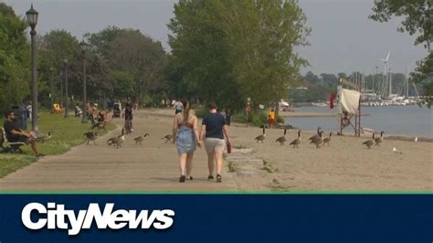 2 Toronto Beaches Unsafe for Swimming | CityNews | Swimmer's Daily